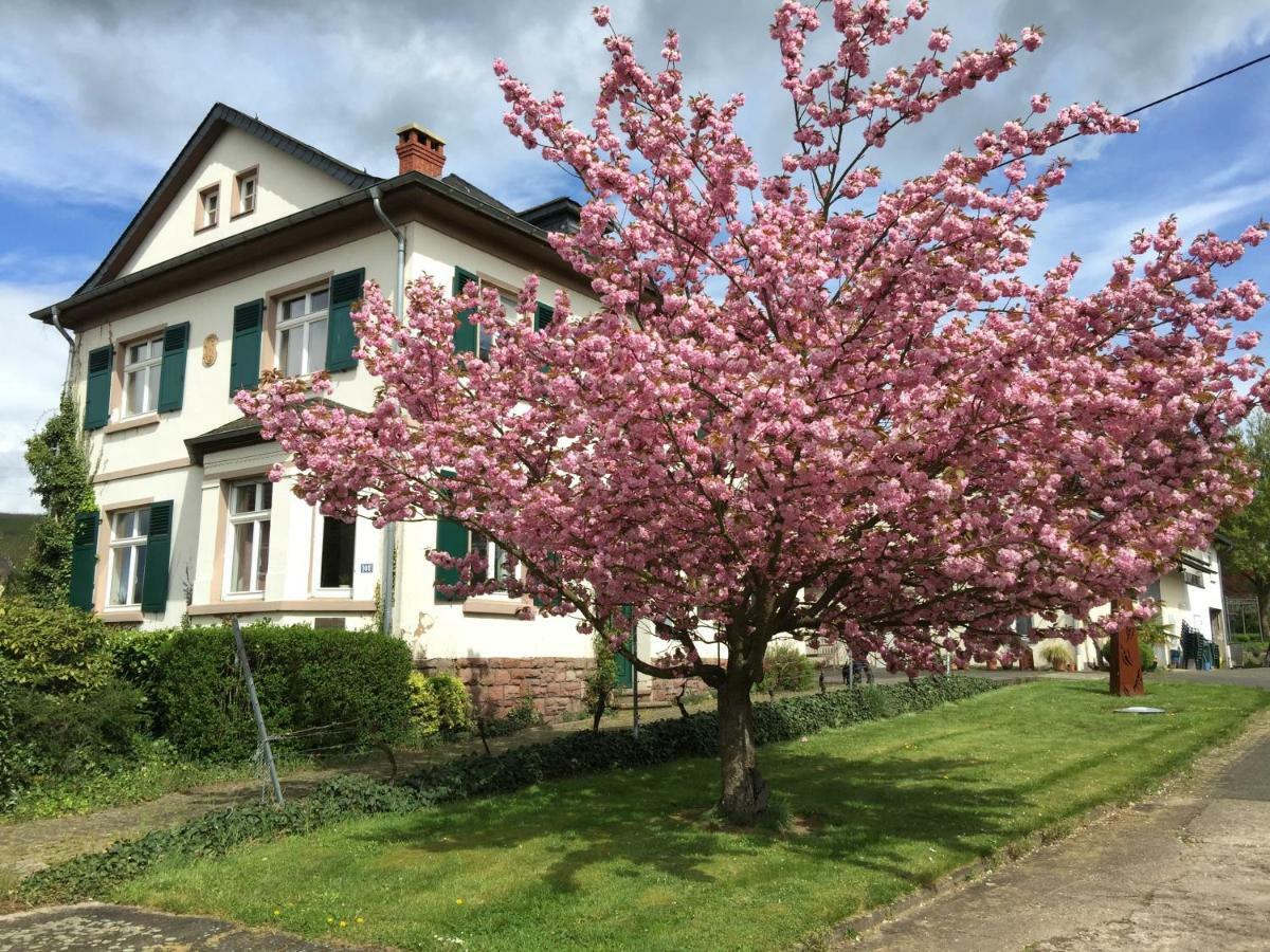 Ferienbungalow Kampenheissji Wiltingen Esterno foto